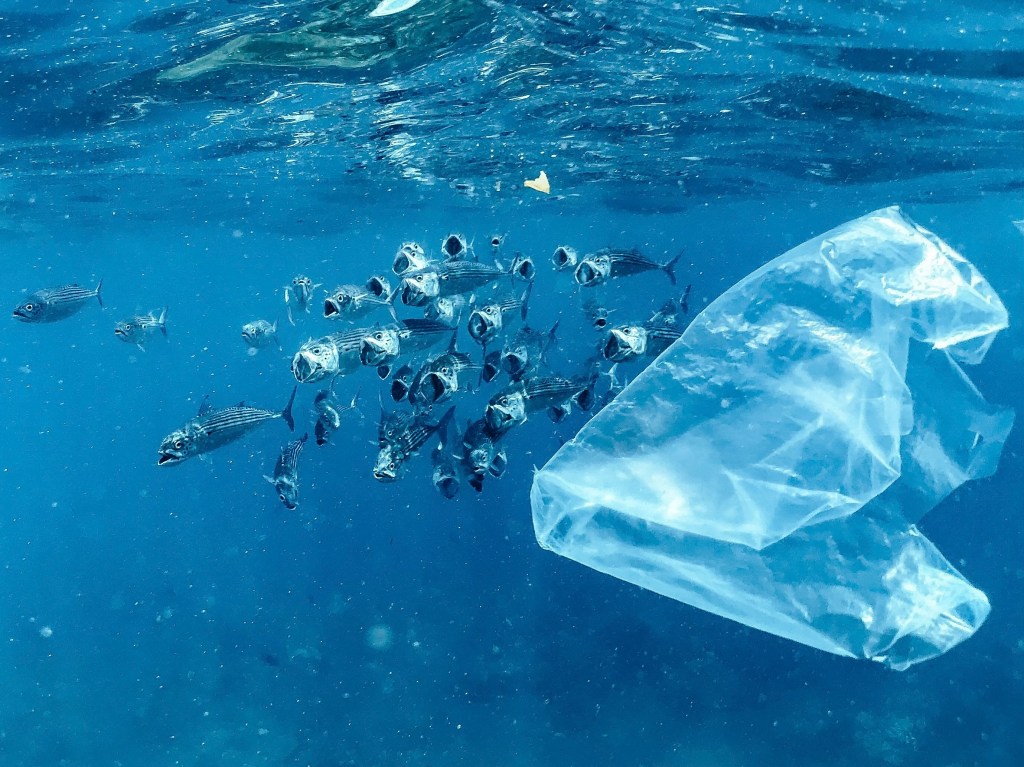 Plastic waste is everywhere- it deserves our&nbsp;attention